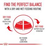 Royal Canin Kitten Dry Cat Food, 14 lb - Cats