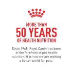Royal Canin Kitten Dry Cat Food, 14 lb - Cats