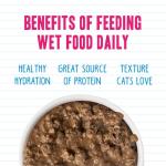 Weruva Best Feline Friend Variety Pack, Wet Cat Food, 3oz Can (Pack of 12)