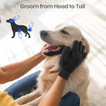 Gentle Pet Grooming Glove for Cats - Blue