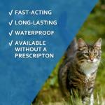 Fiproguard for Cats: 6 Month Flea Tick Prevention