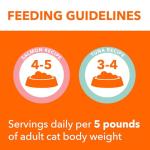 IAMS Indoor Adult Grain Free Wet Cat Food Variety Pack