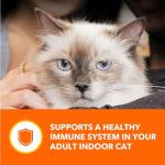 IAMS Indoor Adult Grain Free Wet Cat Food Variety Pack
