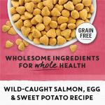 Grain Free Natural Cat Food - Salmon & Sweet Potato