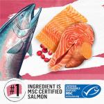 Grain Free Natural Cat Food - Salmon & Sweet Potato