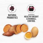 Grain Free Natural Cat Food - Salmon & Sweet Potato