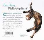 Cat Wisdom: Important Lessons from Our Feline Friends