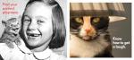 Cat Wisdom: Important Lessons from Our Feline Friends