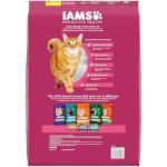 IAMS PROACTIVE HEALTH Chicken Cat Kibble, 16lb