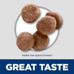 Science Diet Kitten Cat Food - 15.5 lb