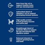 Science Diet Kitten Cat Food - 15.5 lb