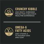 Pro Plan High Protein Cat Food - Chicken & Rice