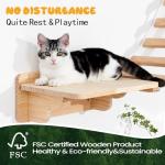 Cat Wall Shelves - Floating Perches Scratcher Bridge