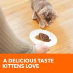 IAMS Healthy Kitten Chicken Gravy Cat Food (24-Pack)