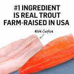 Purina Beyond Grain Free Trout & Catfish Pate