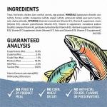 Purina Beyond Grain Free Trout & Catfish Pate