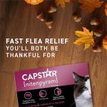 Capstar: Fast-Acting Oral Flea Treatment Tablets for Cats