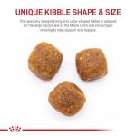 Royal Canin Maine Coon Adult Cat Food, 6lb