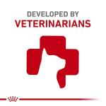 Royal Canin Maine Coon Adult Cat Food, 6lb