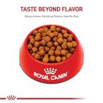 Royal Canin Maine Coon Adult Cat Food, 6lb
