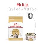 Royal Canin Maine Coon Adult Cat Food, 6lb