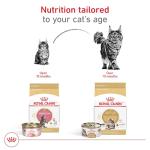 Royal Canin Maine Coon Adult Cat Food, 6lb