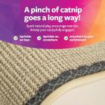 SmartyKat Cat Scratch Ramp with Catnip - Natural, One Size
