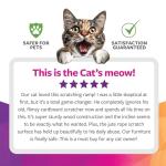 SmartyKat Cat Scratch Ramp with Catnip - Natural, One Size