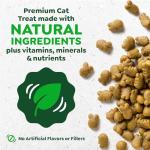 Savory Salmon Flavor FELINE GREENIES Cat Treats