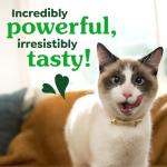 Savory Salmon Flavor FELINE GREENIES Cat Treats