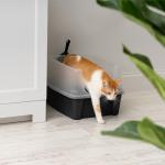 IRIS USA Open Top Cat Litter Tray with Scoop and Scatter Shield