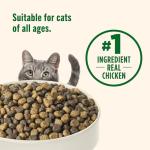 Rachael Ray Nutrish Premium Natural Dry Cat Food, Real Chicken & Brown Rice Recipe, 14lb.