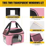 Bejibear Soft-Sided Cat Carrier Bag Backpack Portable Breathable Collapsible Pet Carrier for Cats Kitten Puppy Small Dogs - Pink