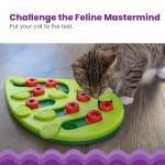 Petstages Nina Ottosson Buggin' Out Puzzle & Play - Interactive Cat Treat Puzzle