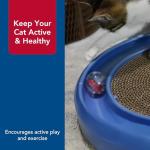 Coastal Pet Turbo Assorted Ball Pack - Cat Treat Ball - Customizable Cat Toy - Pairs with Turbo Scratcher, Mega Turbo and Star Chaser - Assorted (2 Pack)