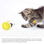 HESHPAWS Interactive Cat Toys Catnip Ball Toy,Cat Toys Chaser for Indoor Cats,Cat Balance Swing Car Toy,360 Degree Self Rotating Ball Car Toy (Yellow)
