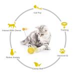 HESHPAWS Interactive Cat Toys Catnip Ball Toy,Cat Toys Chaser for Indoor Cats,Cat Balance Swing Car Toy,360 Degree Self Rotating Ball Car Toy (Yellow)