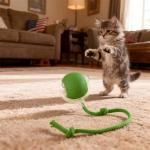 Smart Automatic Interactive Cat Ball Toy for Indoor Cats, 360° Self-Rotating Moving Kitten Toy with LED Light & Obstacle Avoidance, USB-C Rechargeable Motion Activated Chaser for Boredom & Exercise