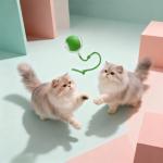 Smart Automatic Interactive Cat Ball Toy for Indoor Cats, 360° Self-Rotating Moving Kitten Toy with LED Light & Obstacle Avoidance, USB-C Rechargeable Motion Activated Chaser for Boredom & Exercise