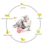 HESHPAWS Interactive Cat Toys Catnip Ball Toy,Cat Toys Chaser for Indoor Cats,Cat Balance Swing Car Toy,360 Degree Self Rotating Ball Car Toy (Pink)