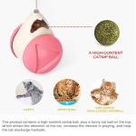 HESHPAWS Interactive Cat Toys Catnip Ball Toy,Cat Toys Chaser for Indoor Cats,Cat Balance Swing Car Toy,360 Degree Self Rotating Ball Car Toy (Pink)
