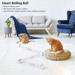 WWVVPET Interactive Cat Toys Ball with LED Light, 360 Degree Self Auto Rotating Smart Ball, USB Rechargeable Spinning Cat Ball Toy,Stimulate Hunting Instinct Kitten Funny Chaser Roller Pet Toy