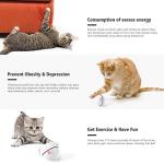 WWVVPET Interactive Cat Toys Ball with LED Light, 360 Degree Self Auto Rotating Smart Ball, USB Rechargeable Spinning Cat Ball Toy,Stimulate Hunting Instinct Kitten Funny Chaser Roller Pet Toy