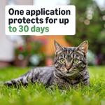 Flea and Tick Topical Treatment for Cats (6 count)