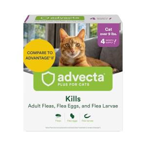 Advecta Plus: Fast-Acting Flea Prevention for Cats