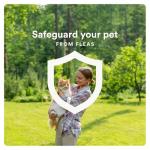 Advecta Plus: Fast-Acting Flea Prevention for Cats