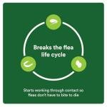 Advecta Plus: Fast-Acting Flea Prevention for Cats