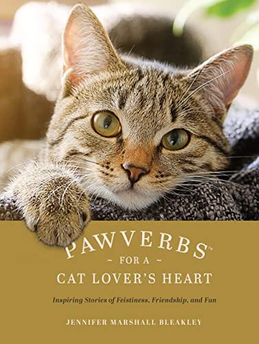 Cat lover's heart: inspiring pawverbs stories