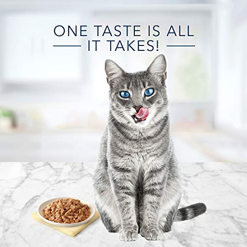 Blue Buffalo Tastefuls Natural Flaked Wet Cat Food Variety Pack