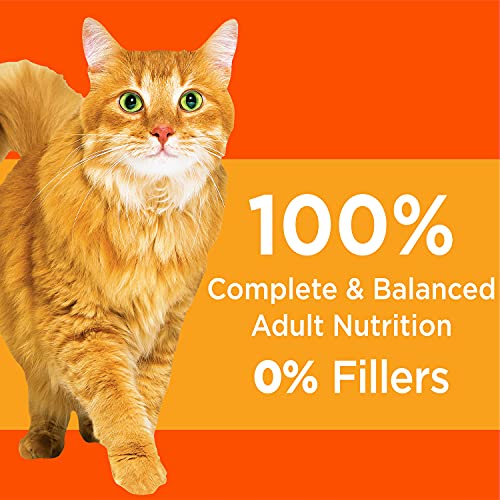 IAMS Adult Healthy Cat Food with Chicken Kibble